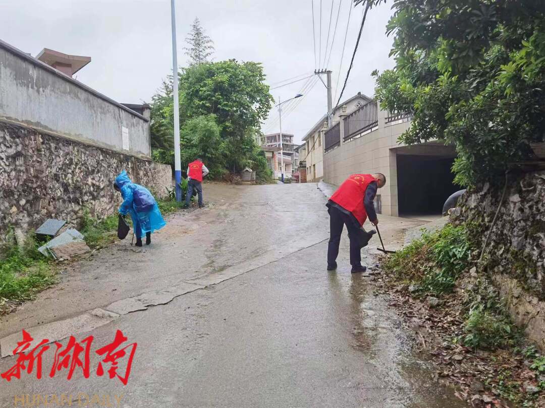 县委办扎实开展责任区环境卫生大提升行动_邵阳头条网